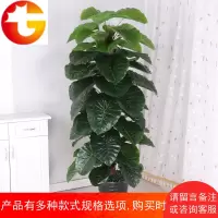 仿真植物假树滴水观音假花绿萝盆栽摆设落地客厅大型绿植龟背假树