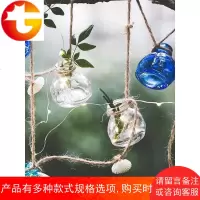 北欧玻璃瓶串空中装饰挂件吊饰 水培植物花器绿植风铃