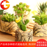 ins假多肉迷你北欧仿真花绿植物装饰品小盆栽仙人掌盆景摆件创意
