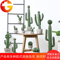 北欧ins摄影道具多肉仙人掌仿真植物盆栽摆件服装店铺咖啡厅摆设