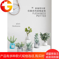 ins北欧仿真植物盆栽仿真多肉仙人掌假盆栽植物室内装饰品小摆件