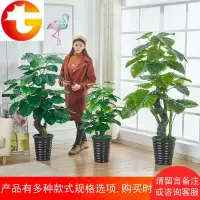 假树滴水观音绿植仿真植物树落地盆栽室内花客厅盆景塑料假花装饰