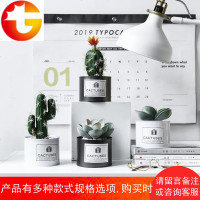 北欧风创意仿真多肉小盆栽绿植物假仙人掌电视机柜装饰摆件设