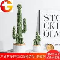北欧风创意服装店咖啡店仿真仙人掌植物盆栽客厅卧室家居装饰摆件
