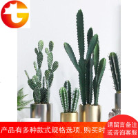 北欧仿真绿植仙人掌仙人柱家居装饰品沙漠植物盆栽商铺陈列