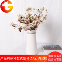 小白果天然树枝干花花束永生DIY配花白色薏米果室内北欧ins道具