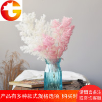 蓬莱松干花网红花束ins手工diy材料客厅家居摆设松树枝装饰永生花