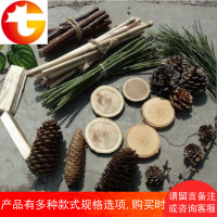 道具松果干花拍摄干果干树枝云杉长松果松塔松子摆件装饰松球