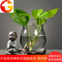 创意绿萝水培植物玻璃透明养花花瓶插花容器花盆器皿桌面装饰摆件