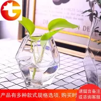 玻璃花瓶水培插花瓶家居摆件水培植物玻璃瓶几何形桌面简约插花器
