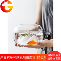 日式透明玻璃雪山鱼缸 家用办公桌水培花瓶微景观装饰多用途花器