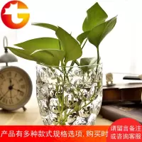 简约水培花器 透明玻璃花瓶 现代家居装饰品 绿萝铜钱草花盆摆件