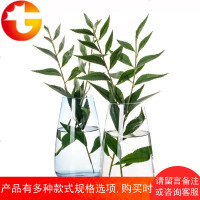 简约现代北欧风玻璃小花瓶 欧式花插 餐桌摆设花器花盆瓶