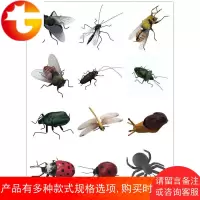 仿真昆虫模型蚊子苍蝇蝈蝈泥塑海洋动物盆景绿植装饰磁性冰箱贴