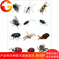 仿真动物昆虫模型儿童认知教具泥塑艺术品盆景摆件磁性冰箱贴