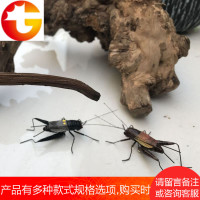 仿真泥塑昆虫模型蛐蛐螳螂蚂蚱蝈蝈天牛书房客厅装饰摆件冰箱贴