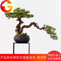 新中式仿真禅意迎客松会所售楼处茶室茶楼装饰品日式枯树盆景摆件