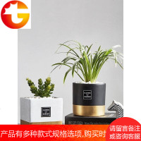 创意仿真植物盆栽假盆景装饰品摆件服装店铺橱窗小道具花草摆设