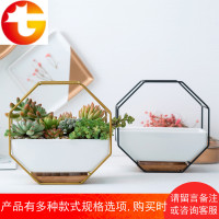 北欧现代简约陶瓷多肉花盆金色铁艺花架壁挂室内装饰桌面盆栽花器