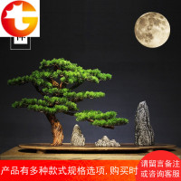 新中式仿真迎客松盆景禅意摆件实木微景观根雕客厅玄关家居装饰品