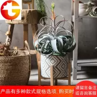 []迷因陶瓷花盆 实木支架 花器装饰器皿摆件素雅日式北欧