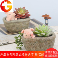 田园创意仿石小猪多肉花盆家居阳台景观装饰肉肉植物花器动物摆件