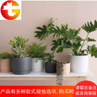 植物私生活 |18年北欧风格黑白色哑光收口室内家居装饰花盆