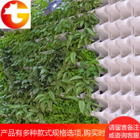 园林背景植物墙垂直绿化室内外阳台壁挂花篮创意组合挂墙装饰花盆