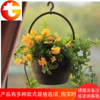 BARREL吊钵7号 啤酒桶吊盆 可种花可当装饰爱丽丝挂盆花盆