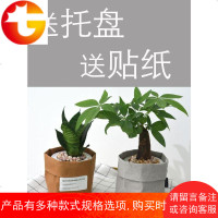 北欧可水洗牛皮纸袋 真正撕不烂花盆装饰盆栽套 文具护肤品收纳袋