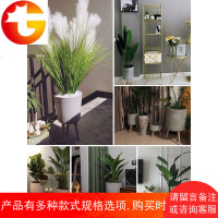 水泥花盆落地室内水培大号欧式创意简约客厅阳台北欧风装饰