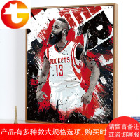 diy数字油画人物NBA篮球明星自己手工填色手绘油彩装饰画哈登