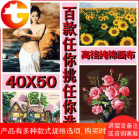 diy数字油画40*50 特价客厅餐厅卧室装饰风景情侣卡通花卉人物