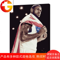 diy数字油画客厅人物名人NBA篮球明星手绘油彩画勒布朗詹姆斯