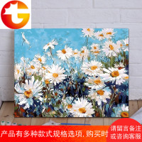 diy数字油画客厅风景花卉动漫人物手绘定制大幅填色装饰画 千菊飞