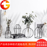 简约北欧几何铁艺小清新玻璃水培花瓶家居客厅餐桌插花装饰品摆件