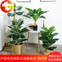 仿真北欧植物创意客厅室内花装饰客厅假绿植盆栽摆件ins网红盆景