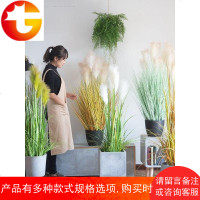 仿真植物芦苇大型盆栽狗尾洋葱假草香蒲落地绿植北欧家居摆件