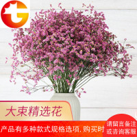 买1送1云南干花花束真花家居长款大束满天星装饰鲜花艺勿忘我摆件