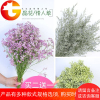 ins鲜花风干水晶花情人草满天星干花花束森系田园小碎花橱窗配草