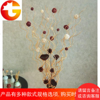 曲柳龙柳干枝树枝装饰 客厅落地玄关隔断橱窗干枝装饰花干花