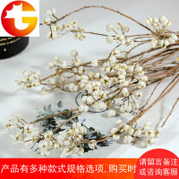 [小白果]天然树枝干花永生DIY配花白色薏米果礼盒配材室内道具
