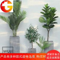 大型落地北欧ins植物仿真水泥花器橄榄树琴叶榕凤尾葵绿植假盆景