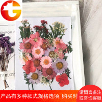 化妆贴脸上饰品眼角眼部拍照脸部装饰干花贴纸闪粉贴花瓣