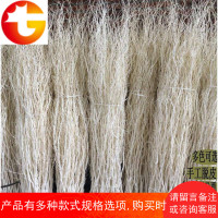 龙柳干枝干树枝树装饰隔断干花婚庆拱橱窗玄关白干枝天然干枝