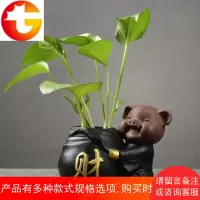 创意绿萝水培花瓶容器小瓶子器皿办工桌插花瓶客厅摆件家居装饰品