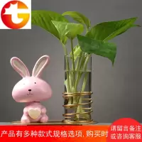 绿萝水培植物玻璃瓶水养透明插花花瓶容器小瓶子器皿客厅装饰摆件