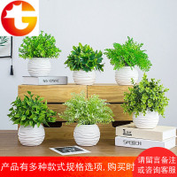 北欧ins仿真植物假草盆栽防尤加利客厅摆设盆景室内装饰绿植摆件
