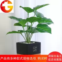 北欧ins仿真植物装饰绿萝小盆栽桌面客厅摆件摆设室内绿植假盆景