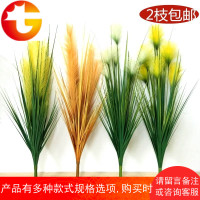 仿真芦苇草洋葱装饰草假草7头把束花草春色仿真植物剑兰花叶